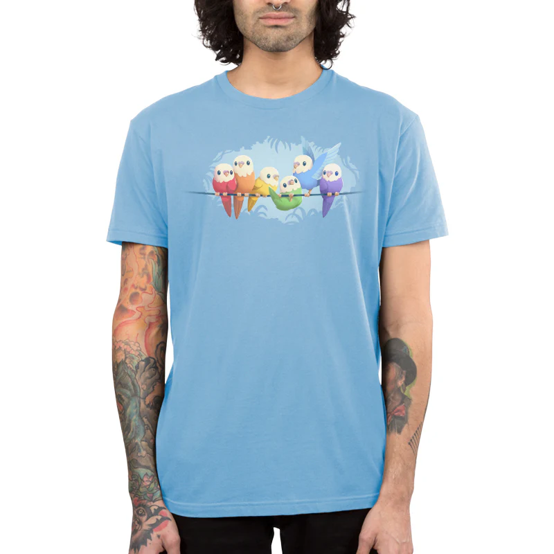 Rainbow Parakeets - Image 3