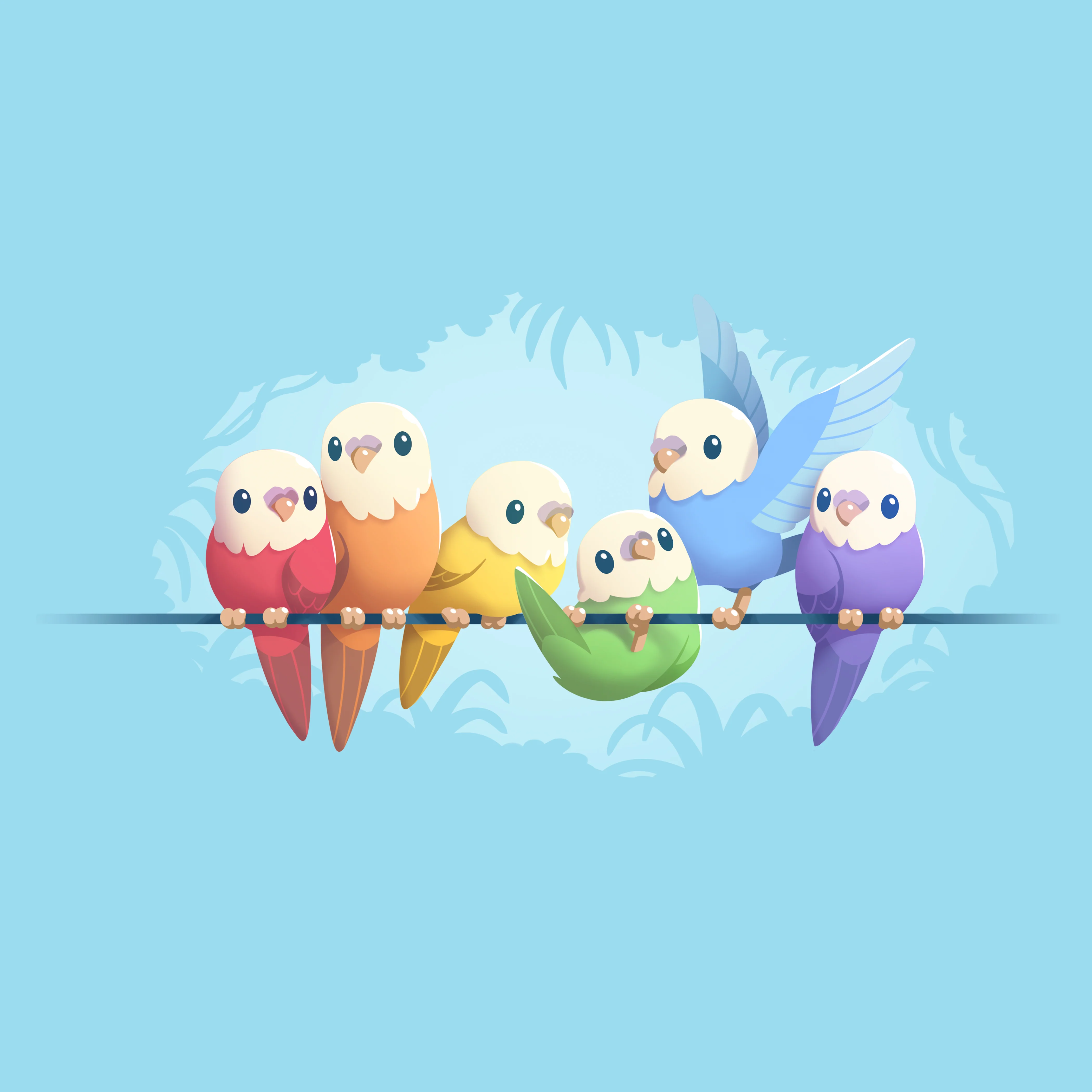 Rainbow Parakeets - Image 6