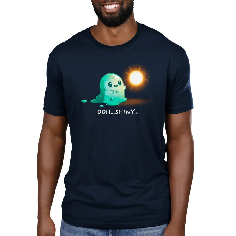 Shiny Distraction - Image 3