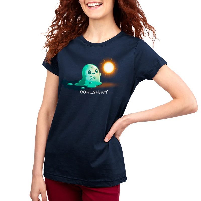 Shiny Distraction - Image 4