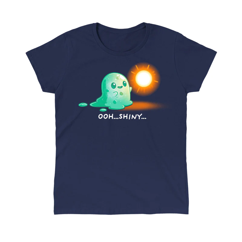 Shiny Distraction - Image 7